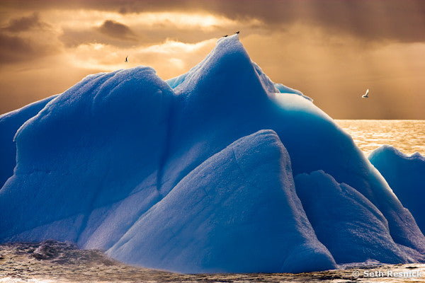 Blue Iceberg, Antarctica