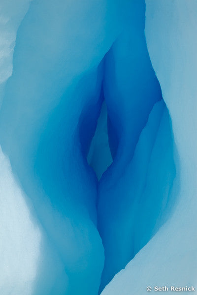 Intimate Conversation, Danko Island 123, Antarctica