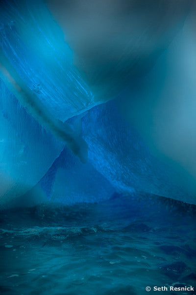 Neon Lights, Goudier Island, Antarctica