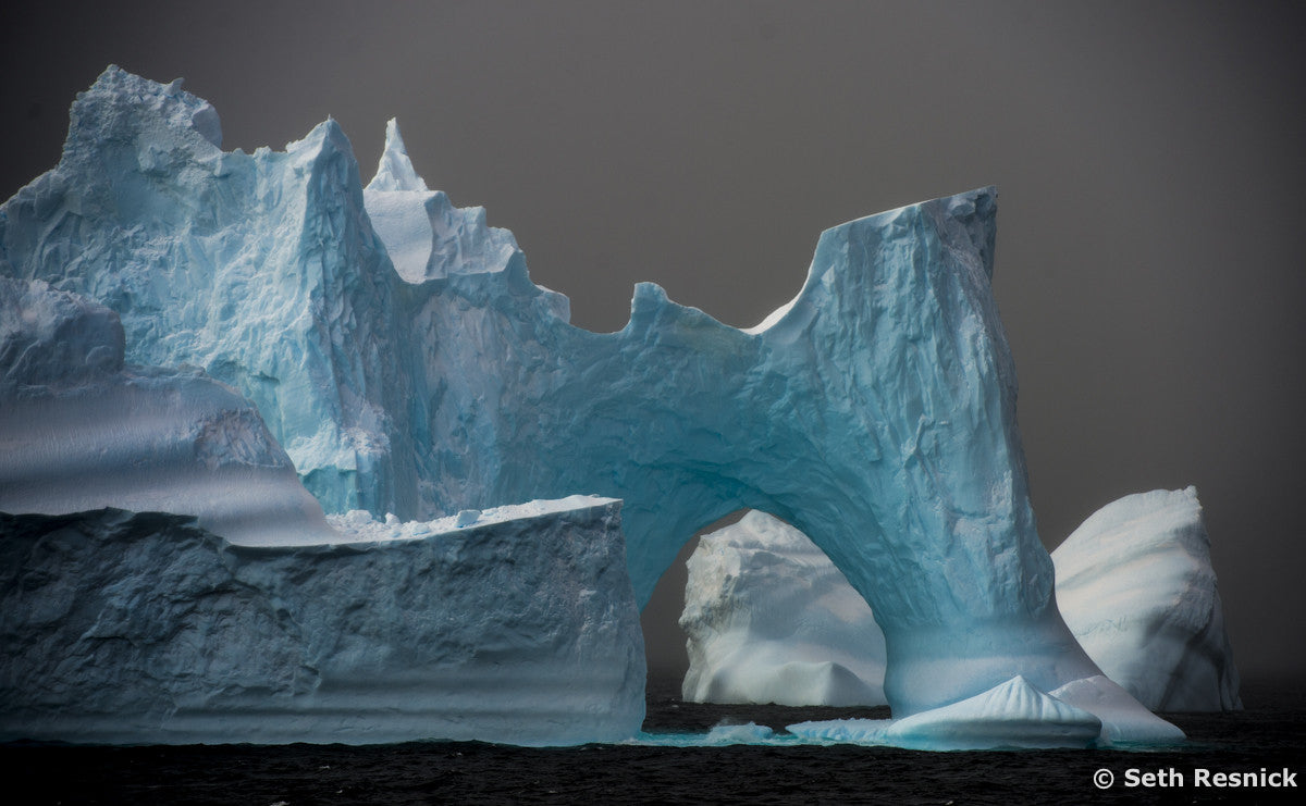 Continuance- Goliath Berg, Detaille Island, Antarctica