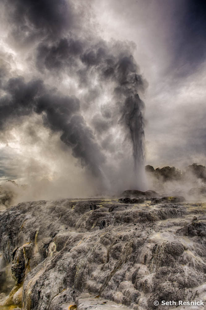 New Beginnings New Zealand