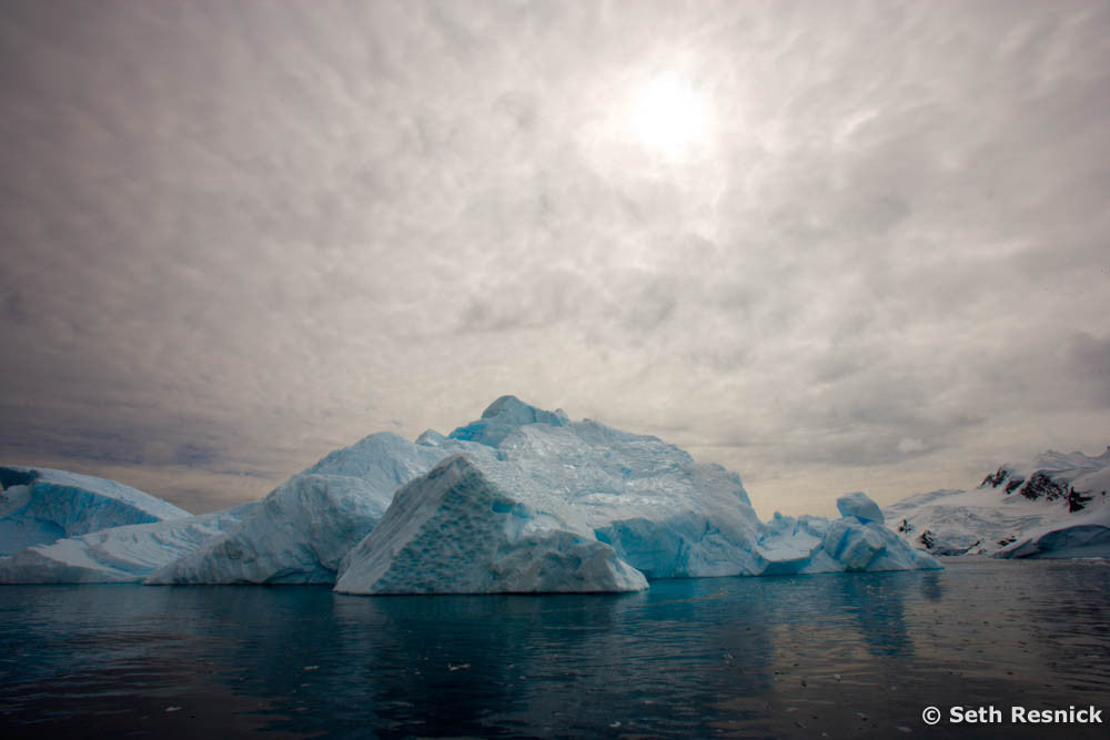 Cierva Cove 162, Antarctica