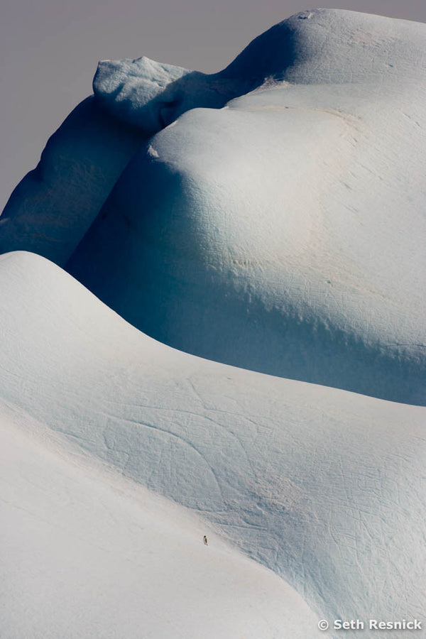Peninsula 84, Antarctica