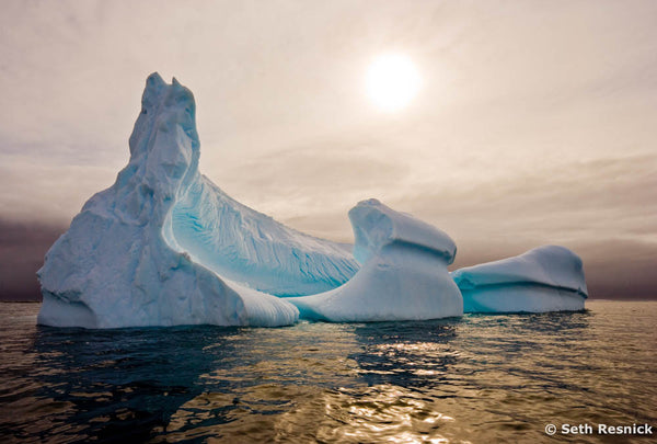 Petermann Island, Antarctica