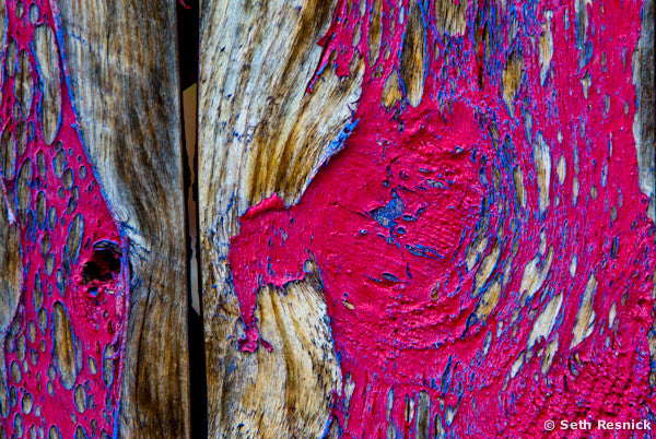 Wood Door, Santa Fe