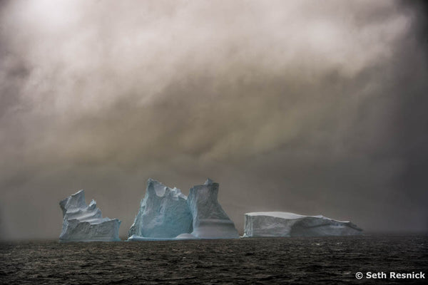 Detail Island 18, Antarctica